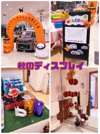 店内が秋仕様に変わりました！！